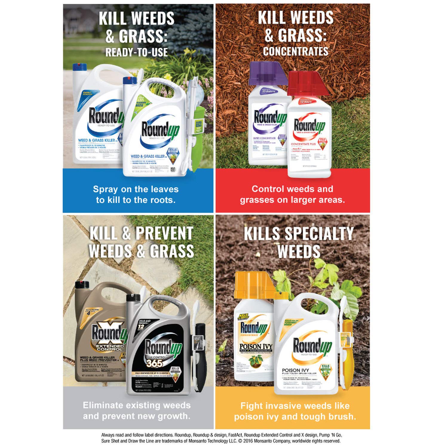 Roundup being sprayed on patio weeds showing fast-acting control