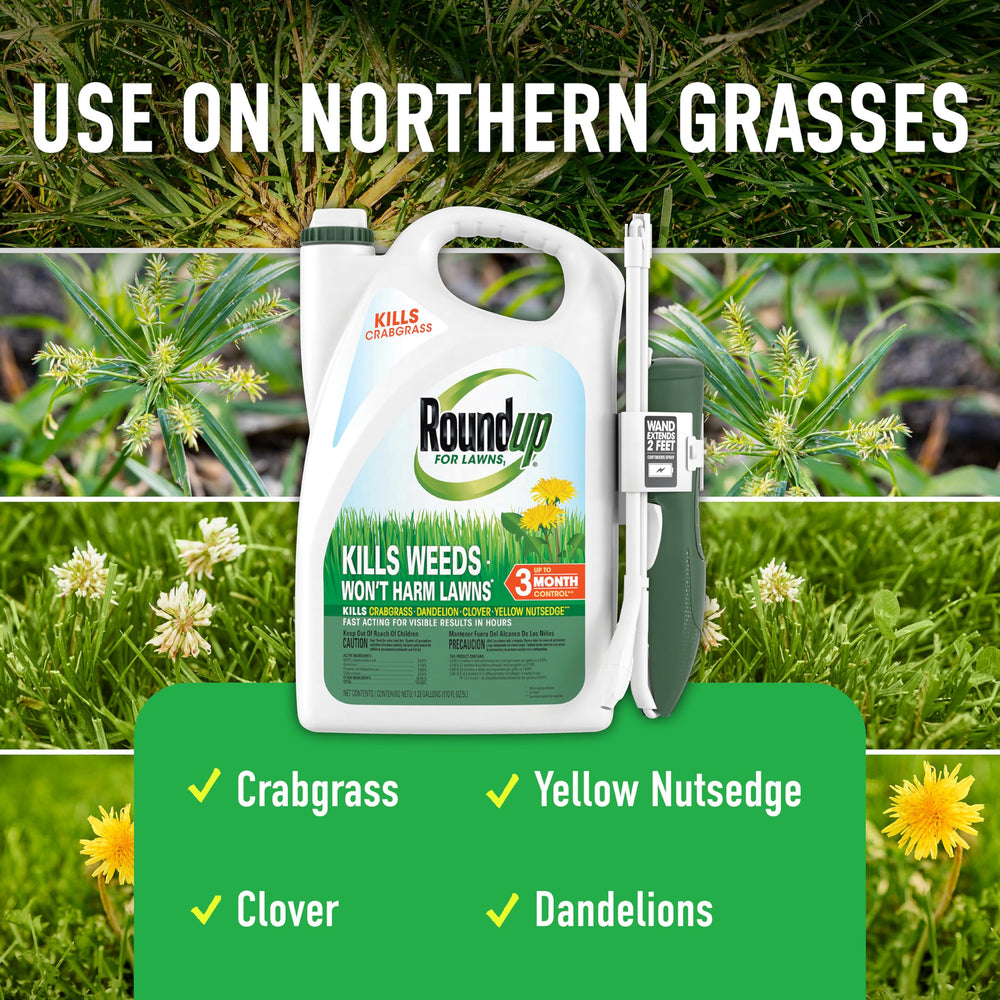 Applying Roundup wand to a lawn weed — Roundup offering targeted, strain-free application
