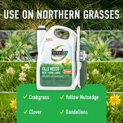 Applying Roundup wand to a lawn weed — Roundup offering targeted, strain-free application