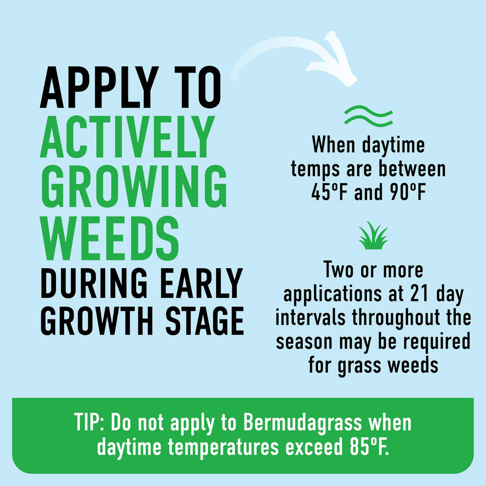 Side-by-side lawn before and after treatment — Roundup highlighting visible weed reduction