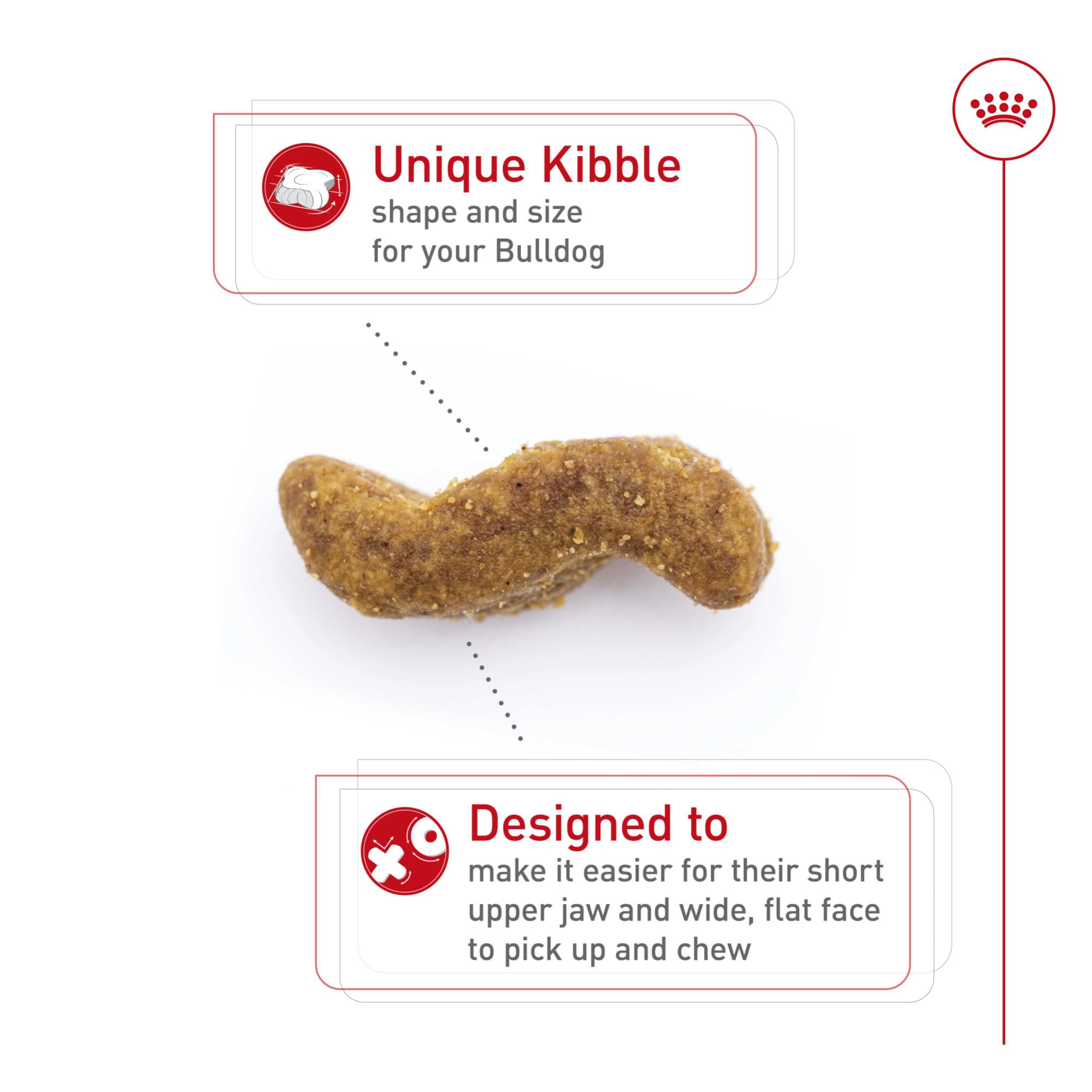 ROYAL CANIN kibble beside a ruler showing shape sized for Bulldog jaw