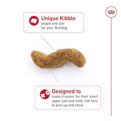 ROYAL CANIN kibble beside a ruler showing shape sized for Bulldog jaw