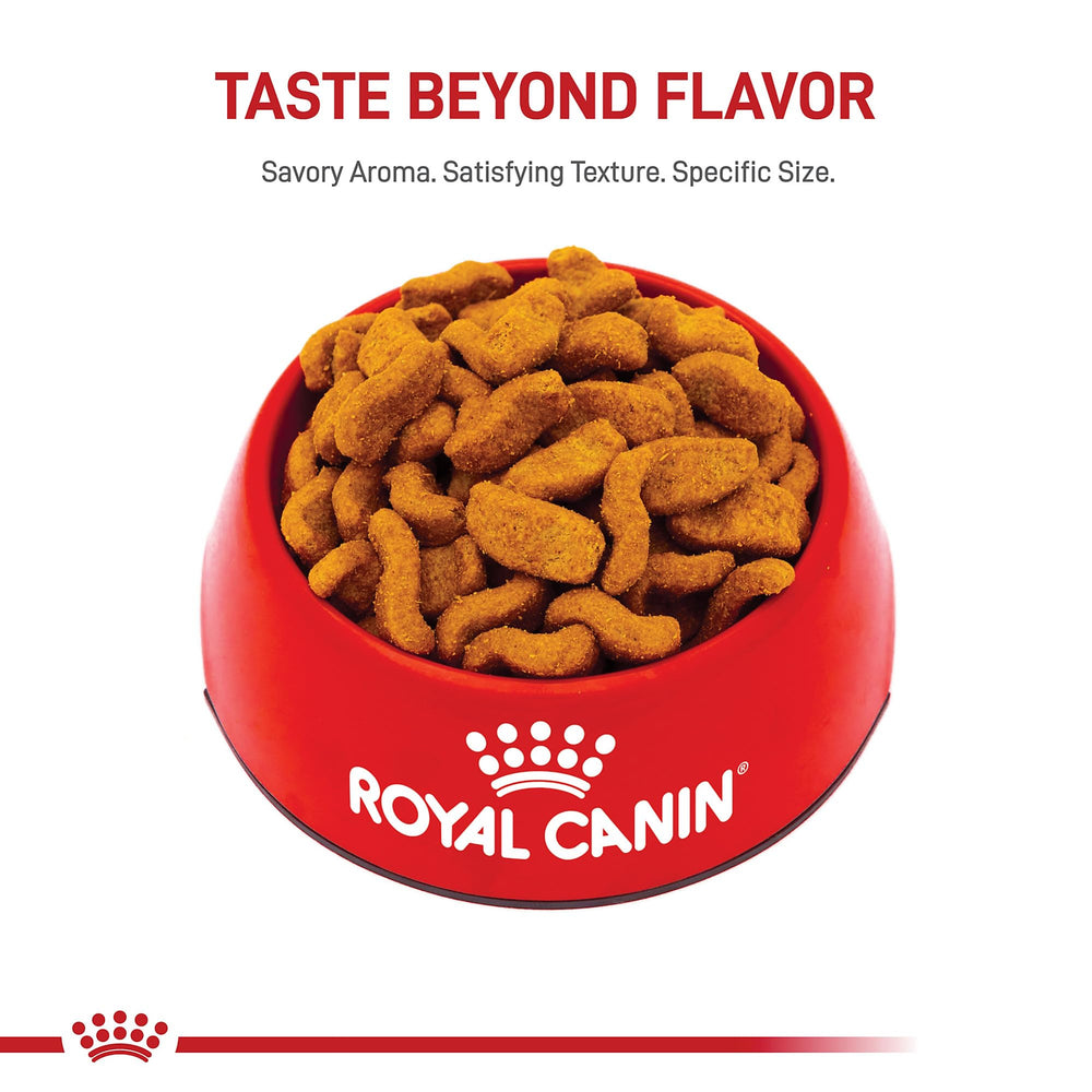 ROYAL CANIN Bulldog with glossy coat showing skin and coat support benefit