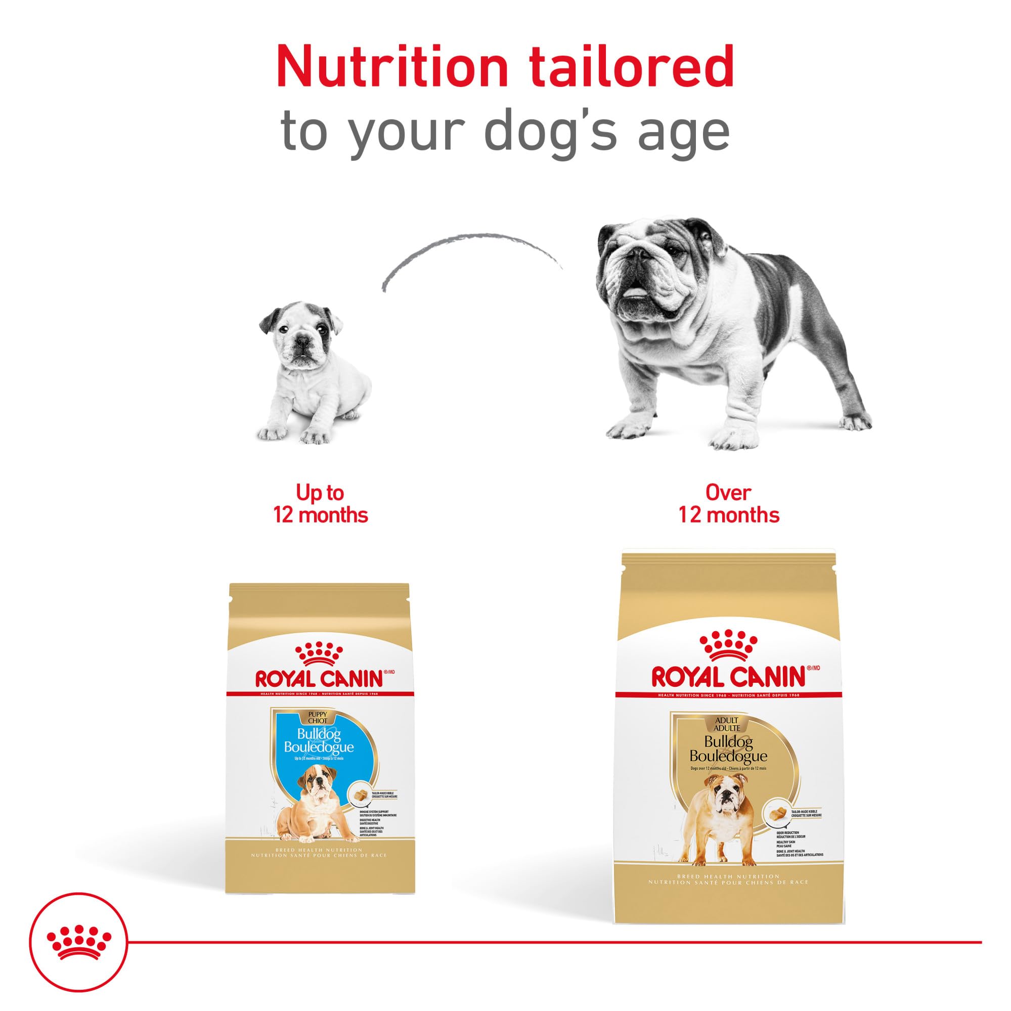ROYAL CANIN illustration of consistent stool quality and digestive benefit