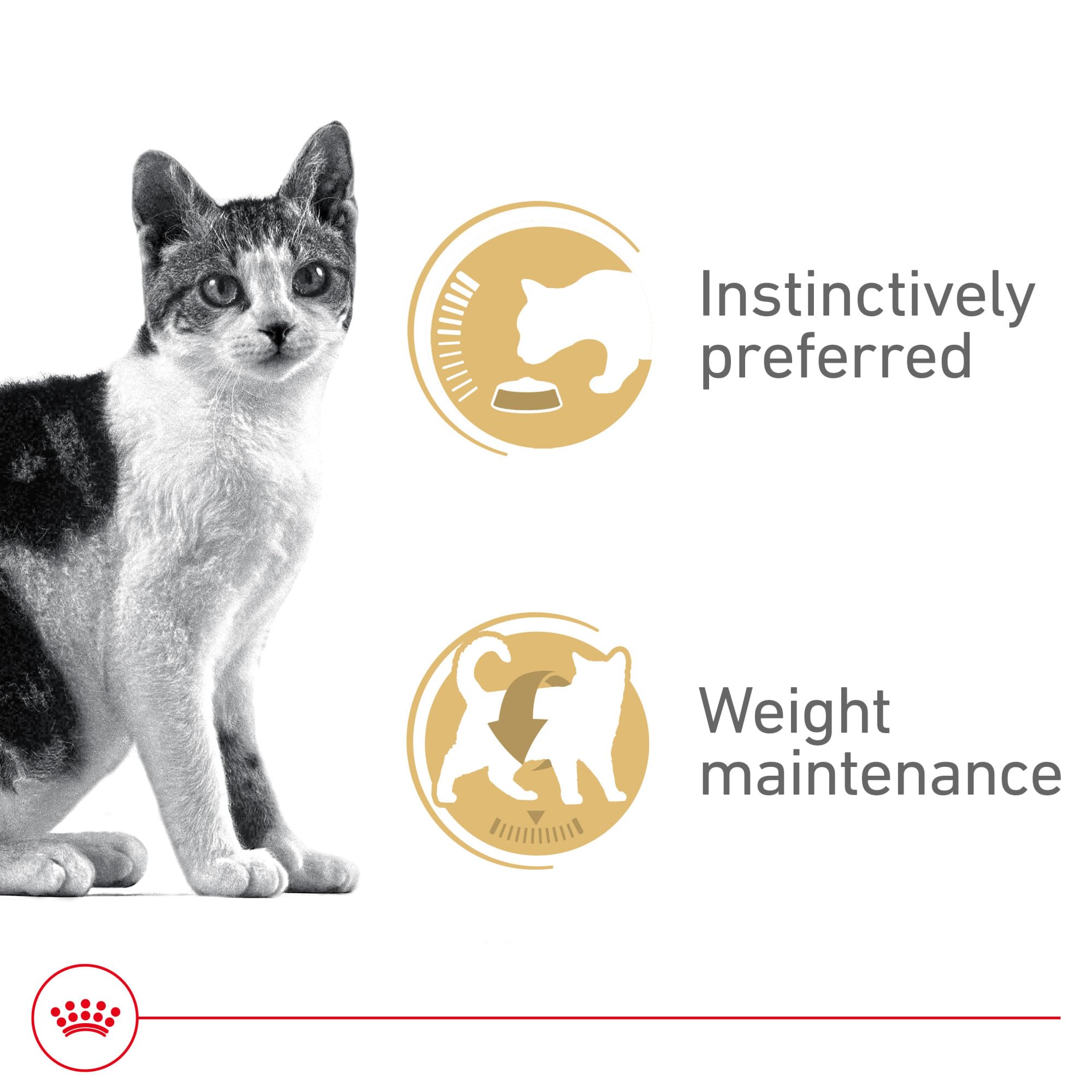 ROYAL CANIN can label and guaranteed analysis showing clear feeding and nutrient information