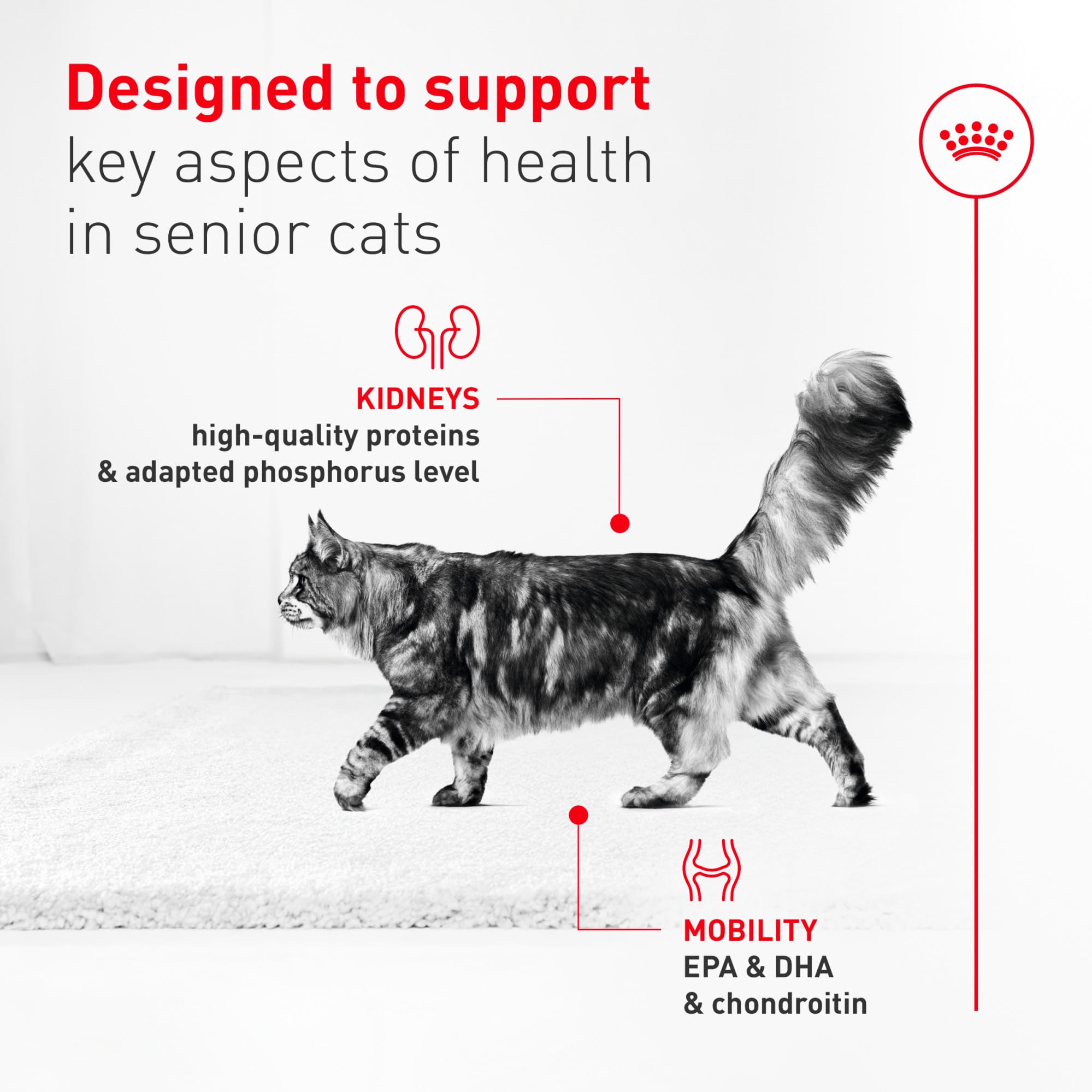 ROYAL CANIN can label close-up showing nutrition panel and expert formulation benefit