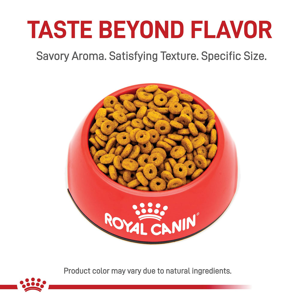 ROYAL CANIN adult cat eating from bowl showing satisfied appetite control