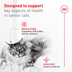 ROYAL CANIN senior cat eating from bowl demonstrating improved mealtime acceptance