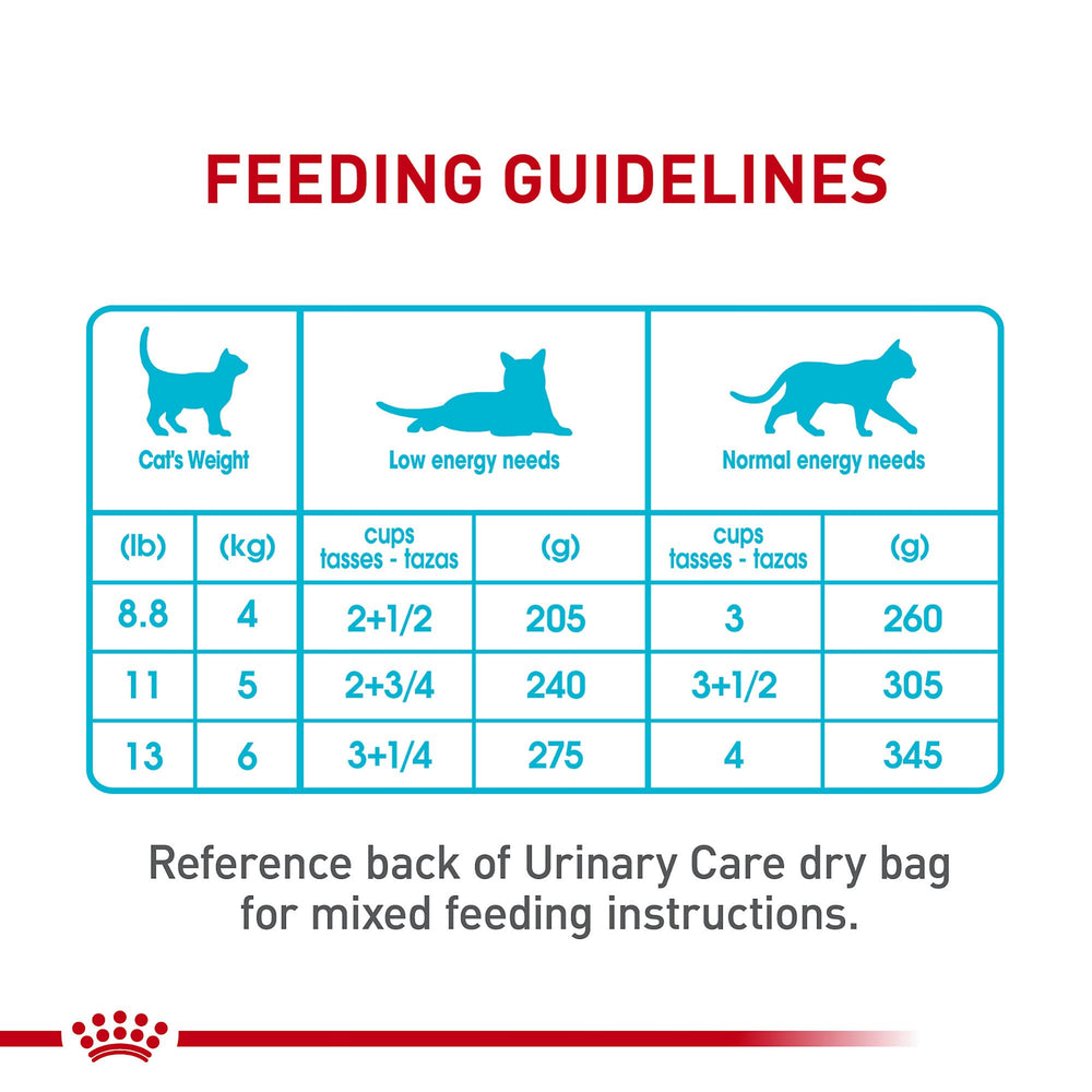 Royal Canin cat eating in kitchen lifestyle scene showing satisfied pet