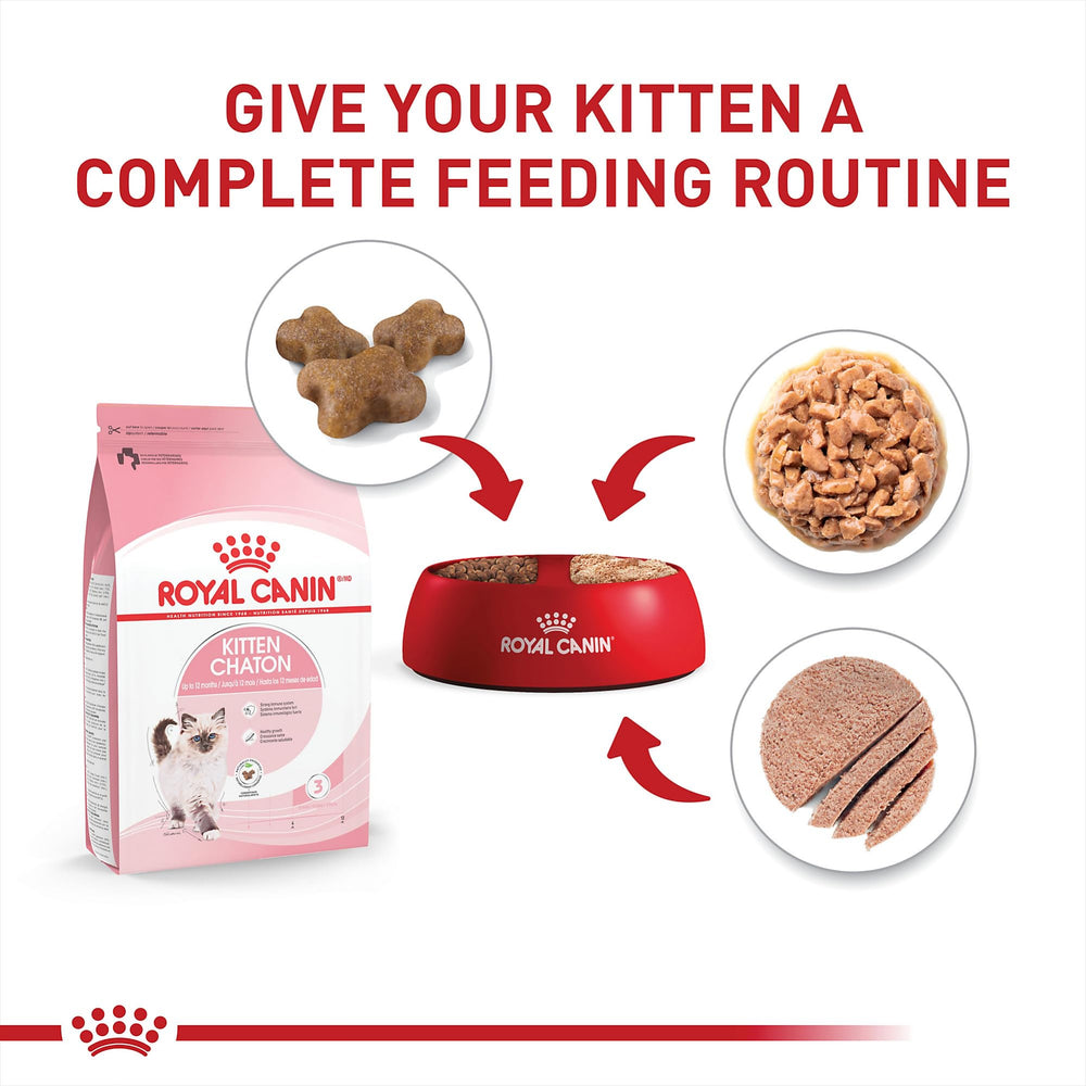 ROYAL CANIN close-up of thin slices in gravy emphasizing texture that aids teething