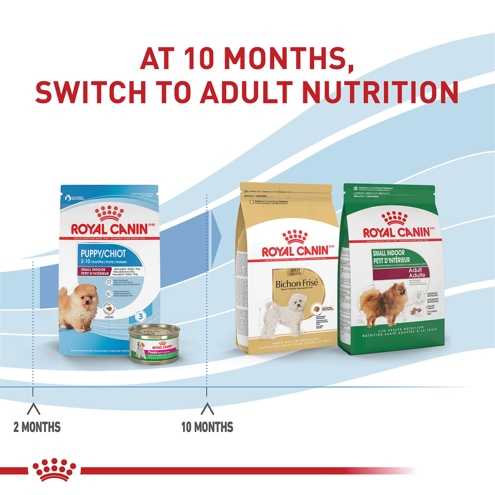 ROYAL CANIN healthy puppy coat and skin showing shiny fur benefits