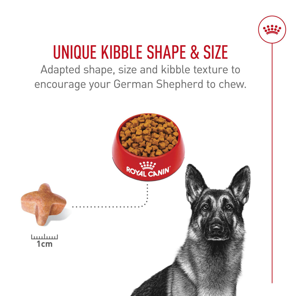 ROYAL CANIN German Shepherd eating from bowl demonstrating palatability