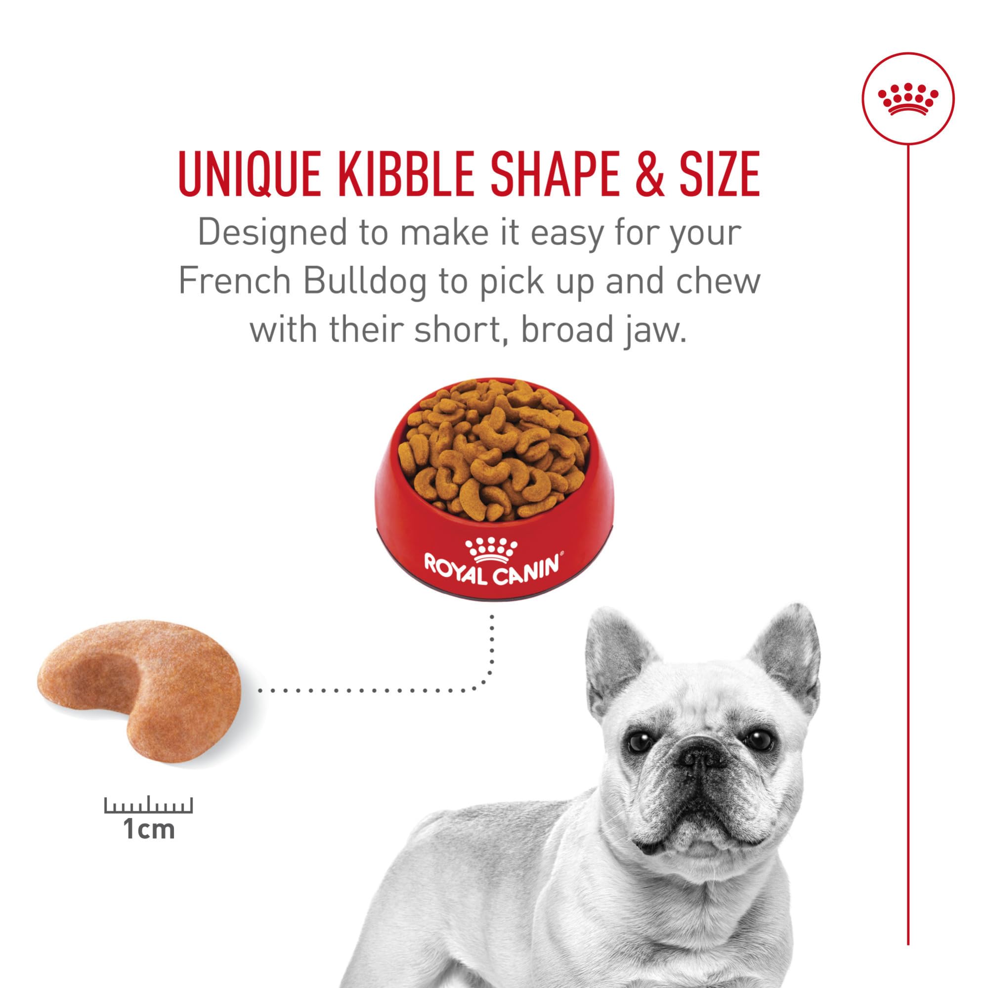 ROYAL CANIN French Bulldog eating from bowl promoting comfortable chewing