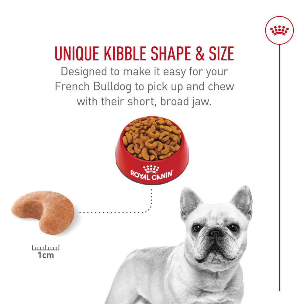 ROYAL CANIN French Bulldog eating from bowl promoting comfortable chewing