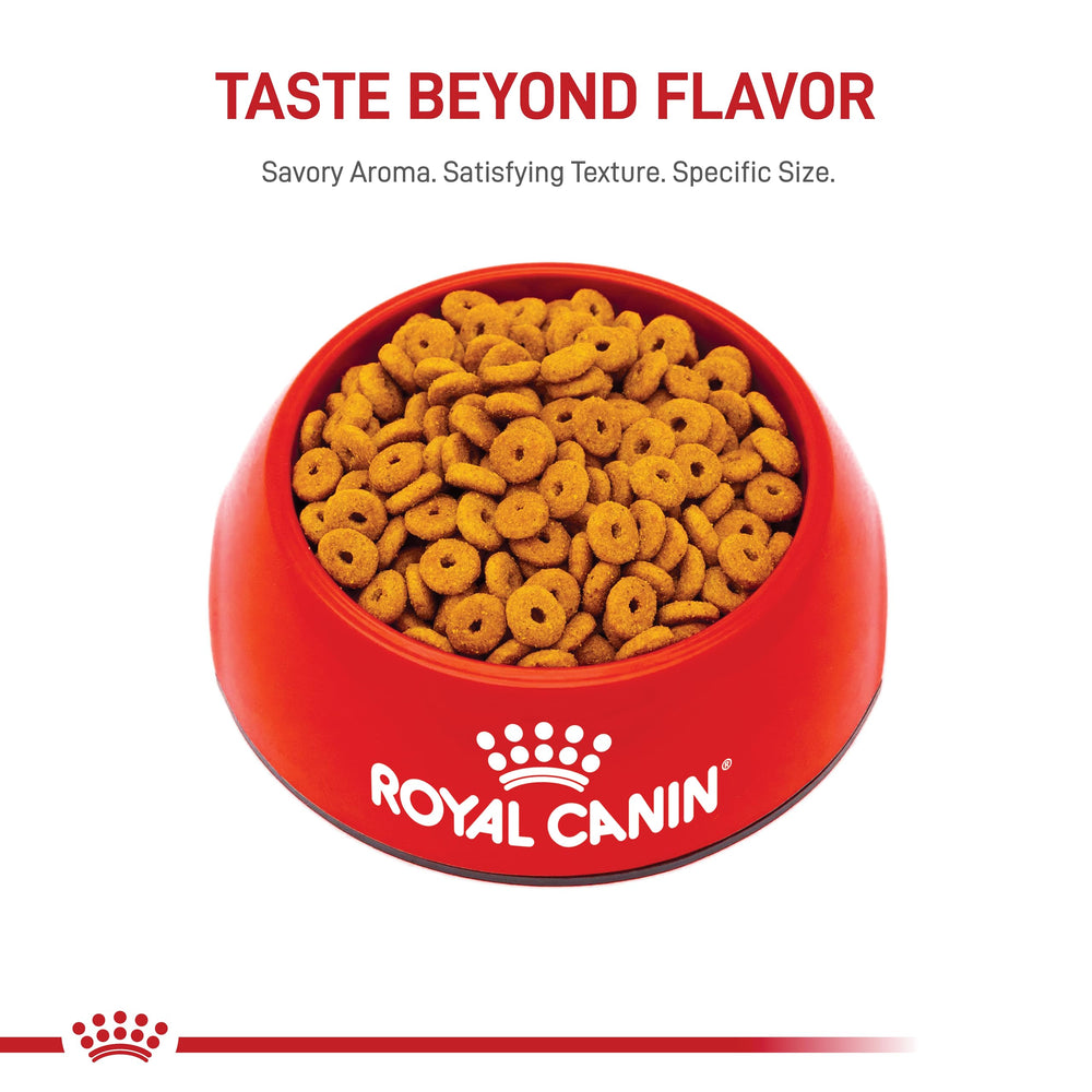 ROYAL CANIN feeding guidelines chart showing recommended portions
