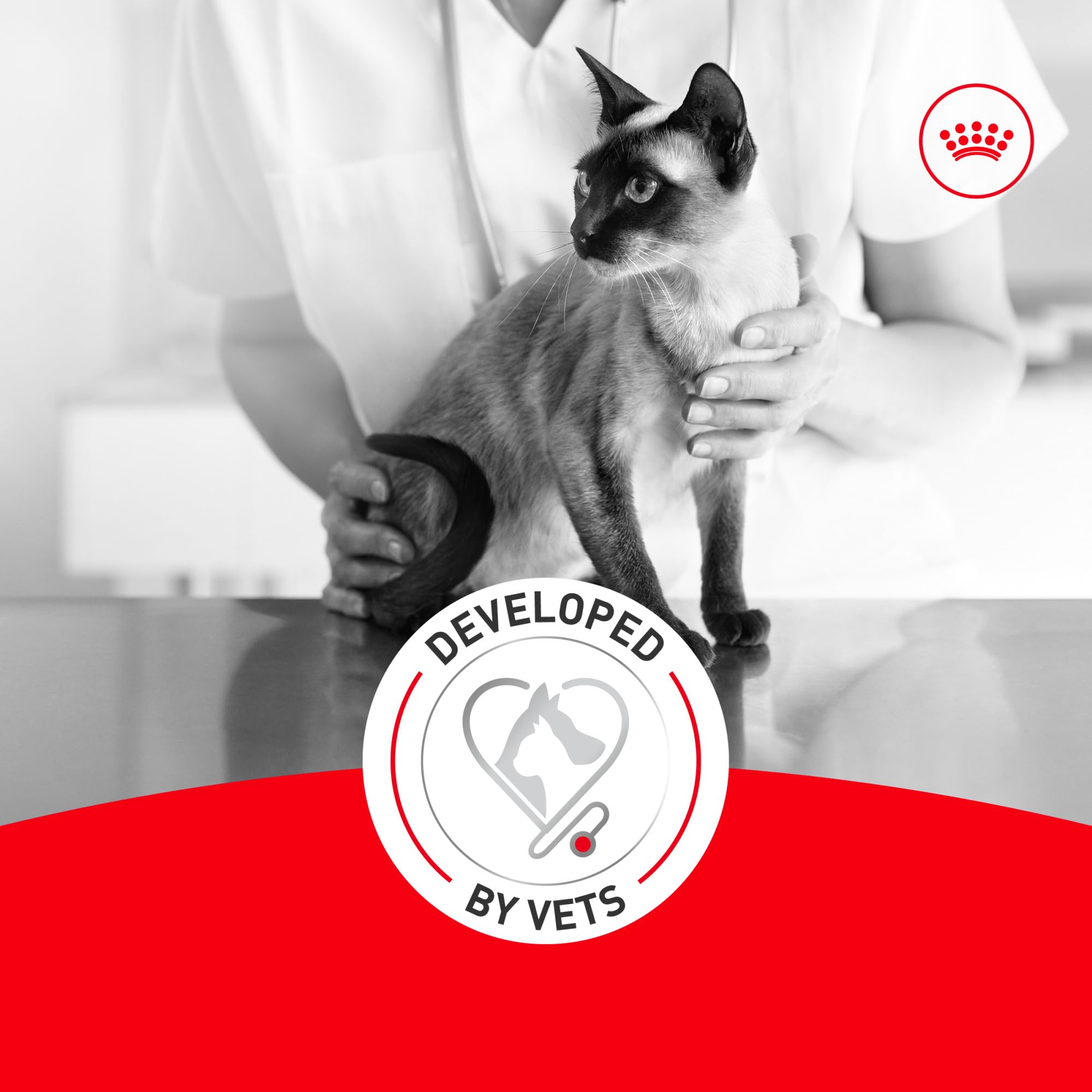 ROYAL CANIN ingredient focus on fatty acids illustrating joint and skin support