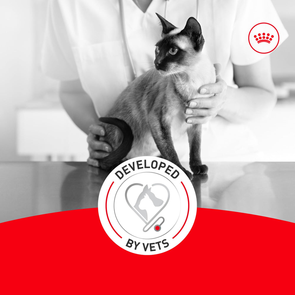 ROYAL CANIN ingredient focus on fatty acids illustrating joint and skin support