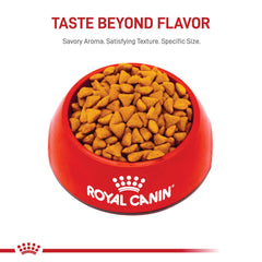ROYAL CANIN kibble close-up texture highlighting consistent shape and bite