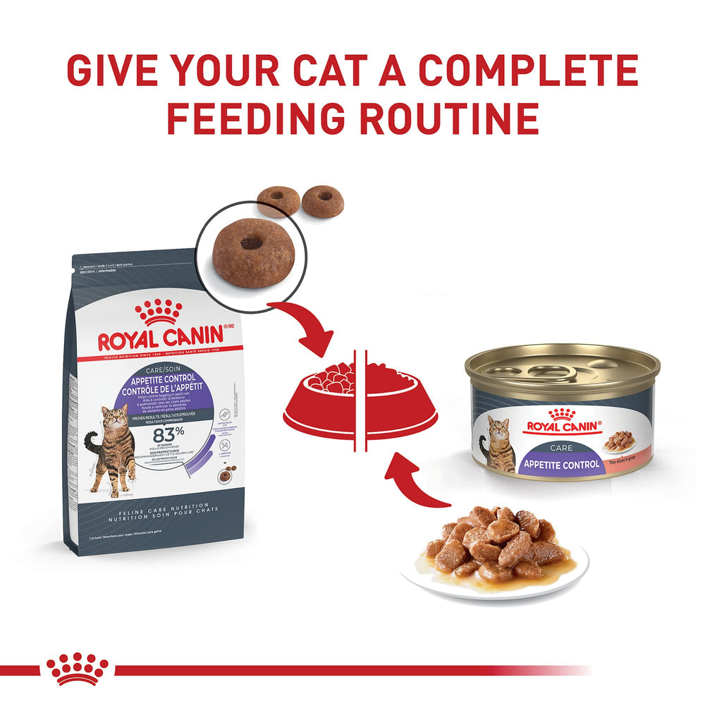 ROYAL CANIN portion of kibble in bowl illustrating meal serving