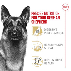 ROYAL CANIN kibble in bowl to show size and portioning for owners