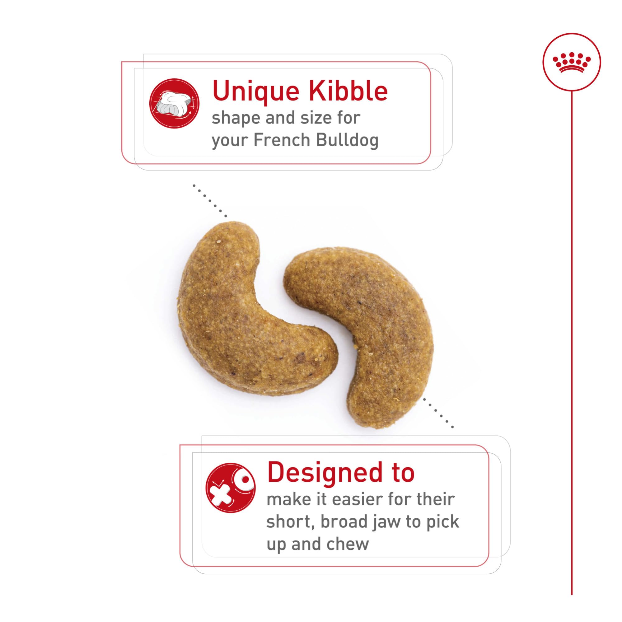 ROYAL CANIN kibble next to a hand showing appropriate bite size