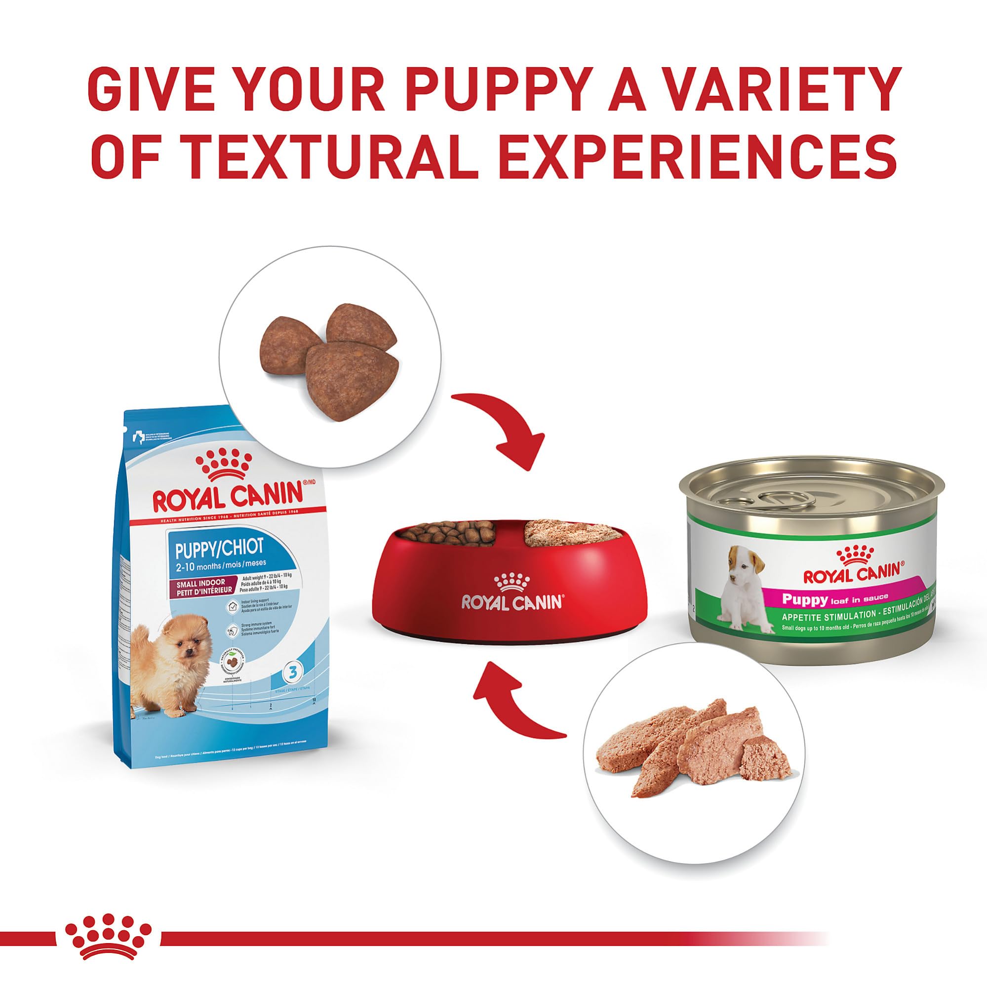 ROYAL CANIN kibble beside puppy jaw illustrating small size and easy chew