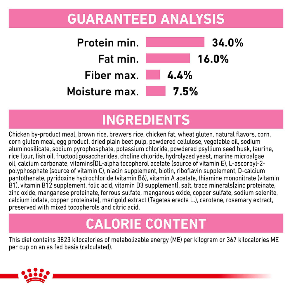 ROYAL CANIN kitten beside mother cat showing smooth transition from milk to kibble