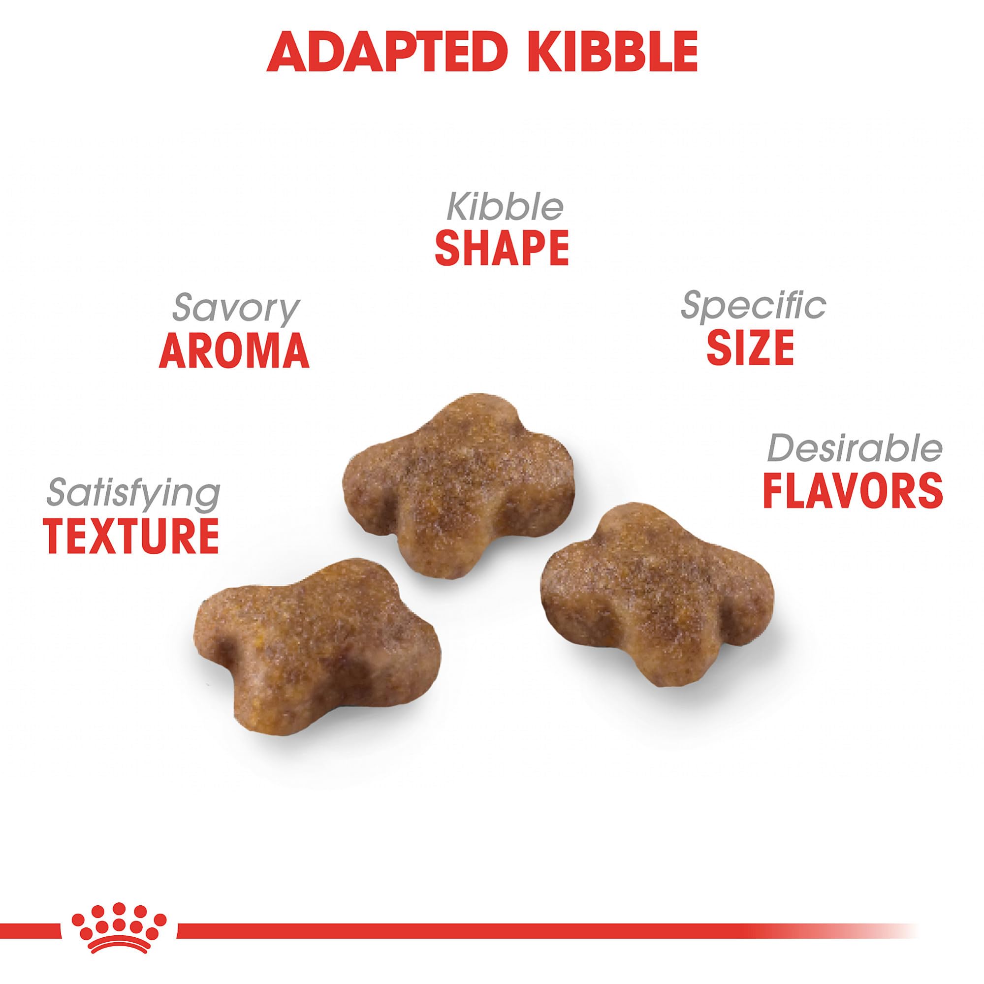 ROYAL CANIN close-up of kitten kibble texture highlighting digestible, bite-sized pieces