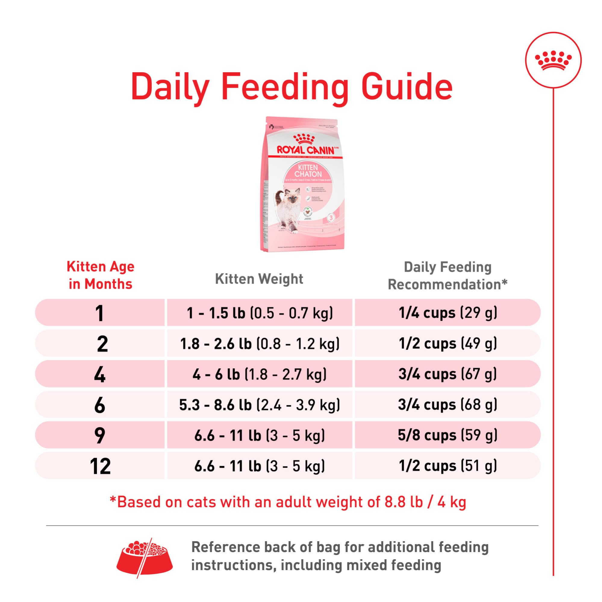 ROYAL CANIN kitten eating in a living room setting showing home feeding routine
