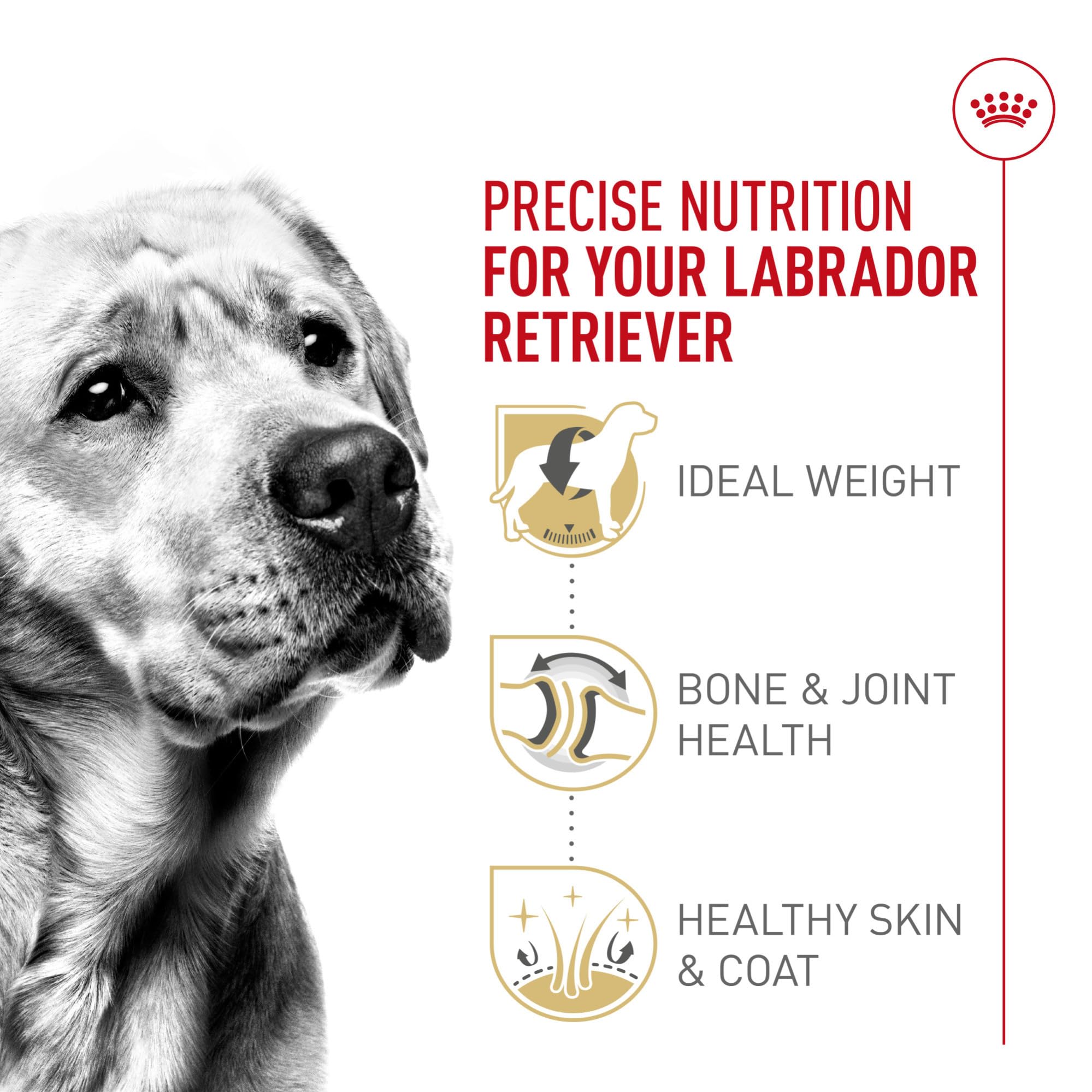ROYAL CANIN 30 lb bag next to household item showing scale benefit