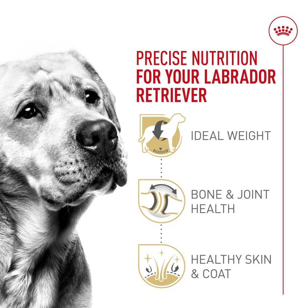 ROYAL CANIN 30 lb bag next to household item showing scale benefit