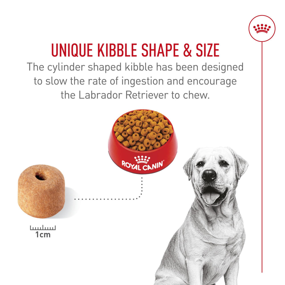 ROYAL CANIN served in bowl in kitchen illustrating portion control benefit