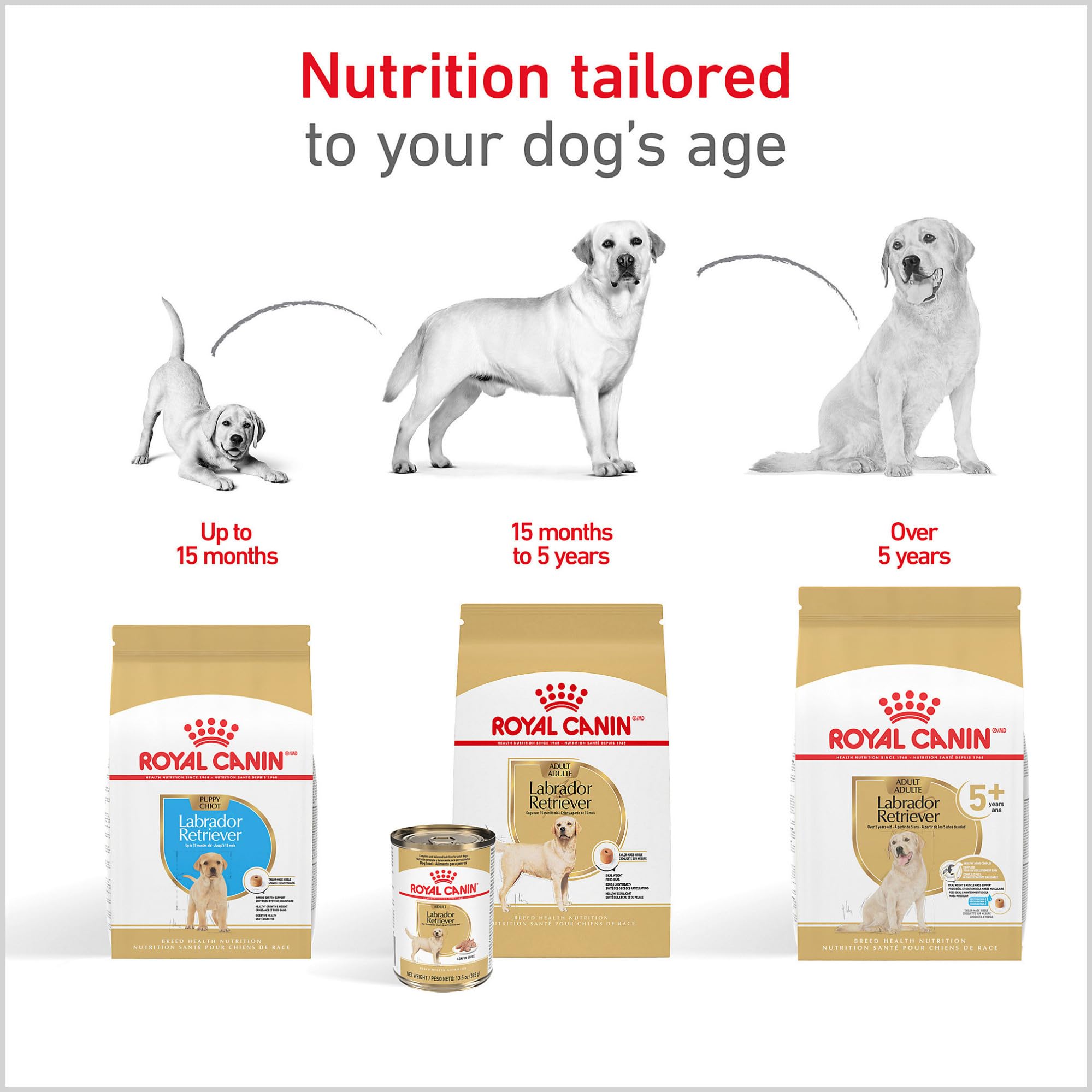 ROYAL CANIN omega ingredient display showing skin and coat support