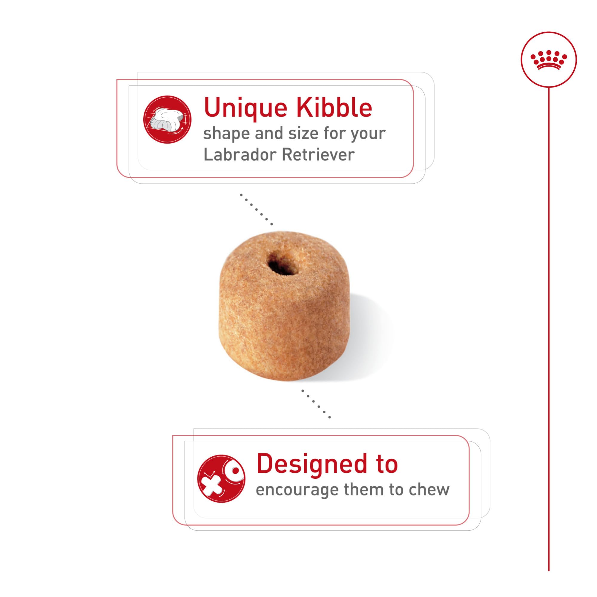 ROYAL CANIN donut-shaped kibble detail encouraging chewing benefit