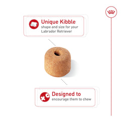 ROYAL CANIN donut-shaped kibble detail encouraging chewing benefit