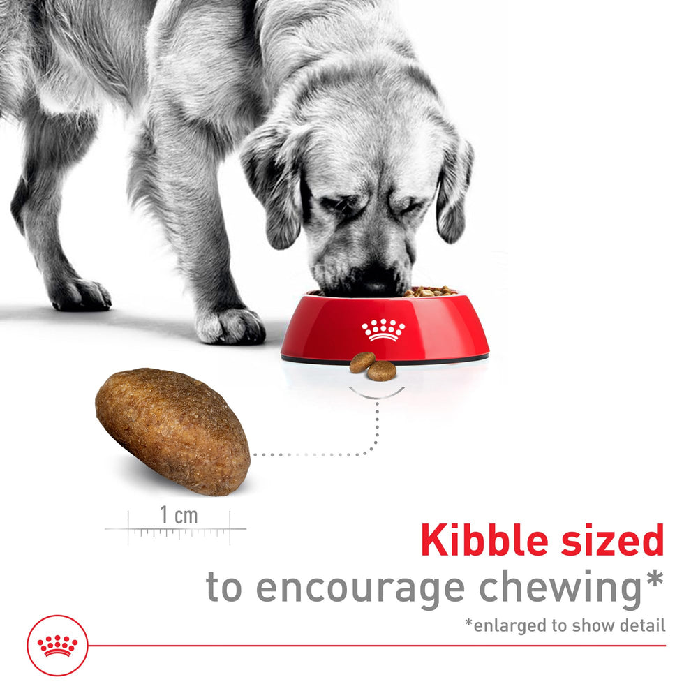 ROYAL CANIN nutrition label view highlighting guaranteed analysis and feeding guide