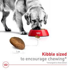 ROYAL CANIN nutrition label view highlighting guaranteed analysis and feeding guide
