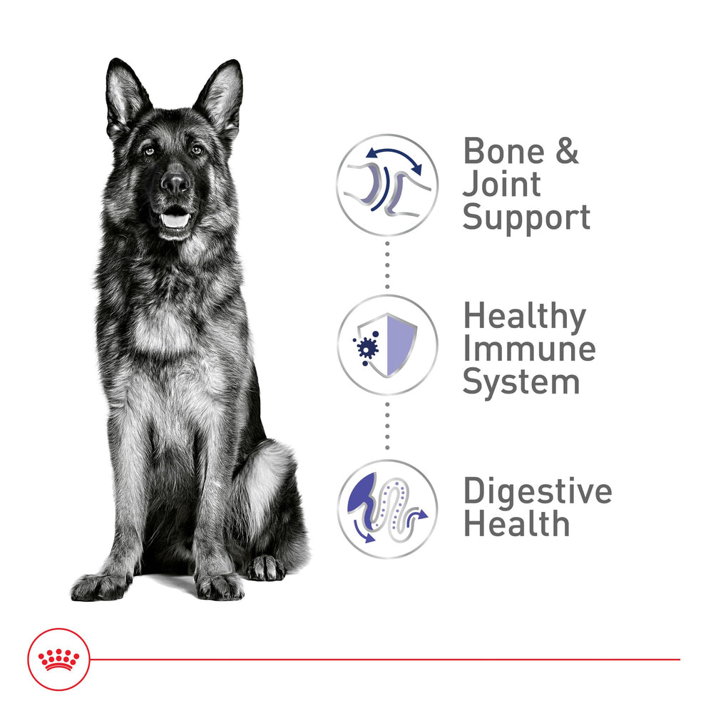 ROYAL CANIN close-up of kibble shape showing texture that encourages chewing
