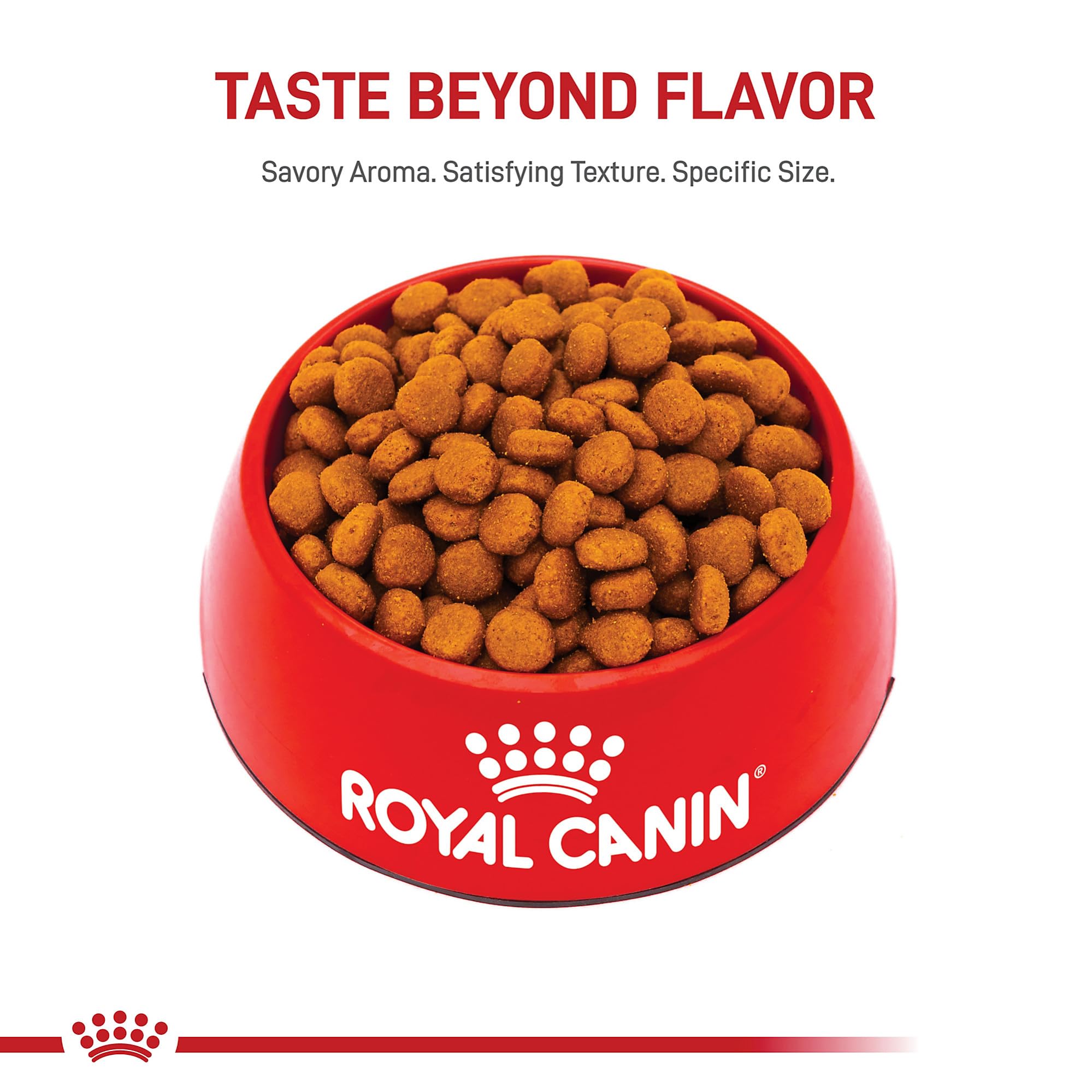 ROYAL CANIN owner pouring food into bowl showing feeding routine ease and control