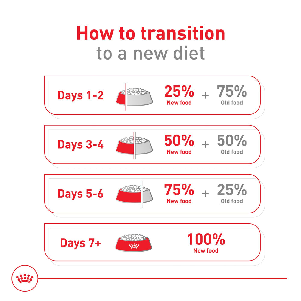 ROYAL CANIN sealed container and scoop for storage tips and portion accuracy