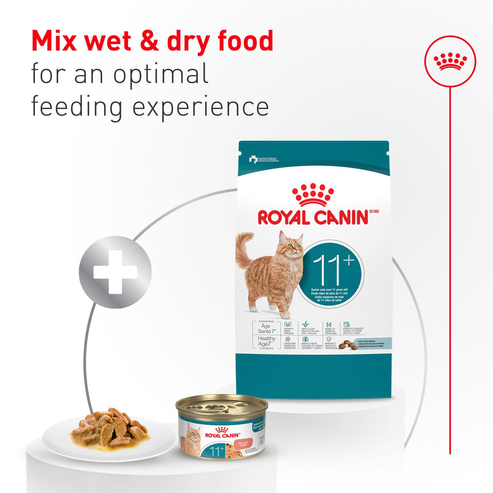 ROYAL CANIN bowl mixed with kibble offering diet variety and appetite stimulation
