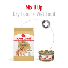 ROYAL CANIN dry food in bowl ready to serve encouraging comfortable eating