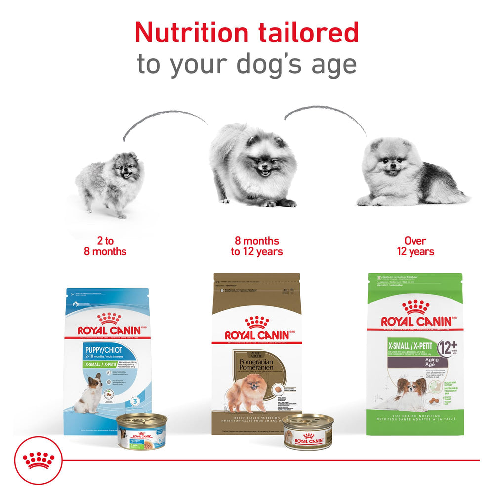 ROYAL CANIN Pomeranian with shiny coat highlighting skin and coat benefits