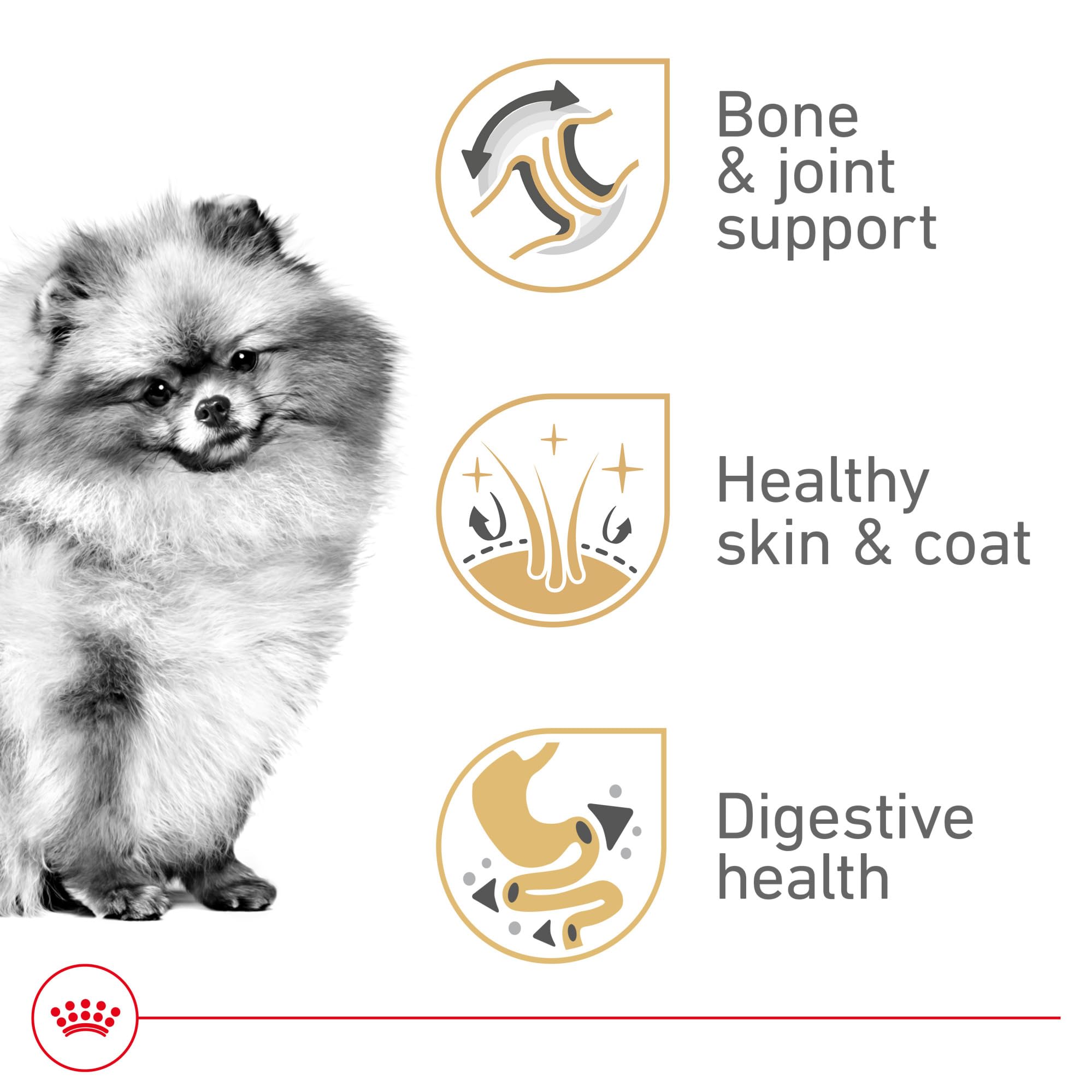 ROYAL CANIN close-up of kibble texture for easy chewing and digestion