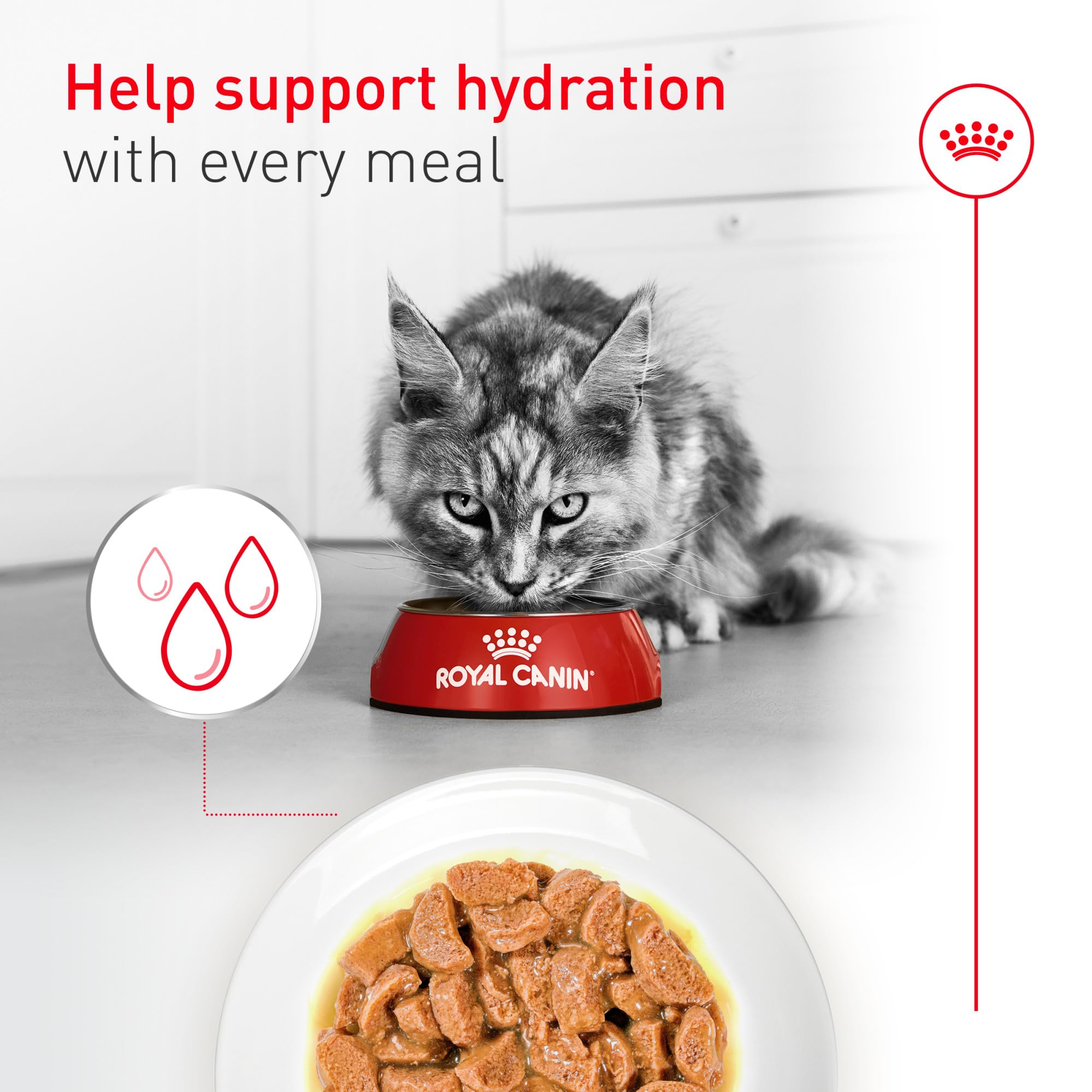 ROYAL CANIN portion size with scale showing energy-dense serving for weight management