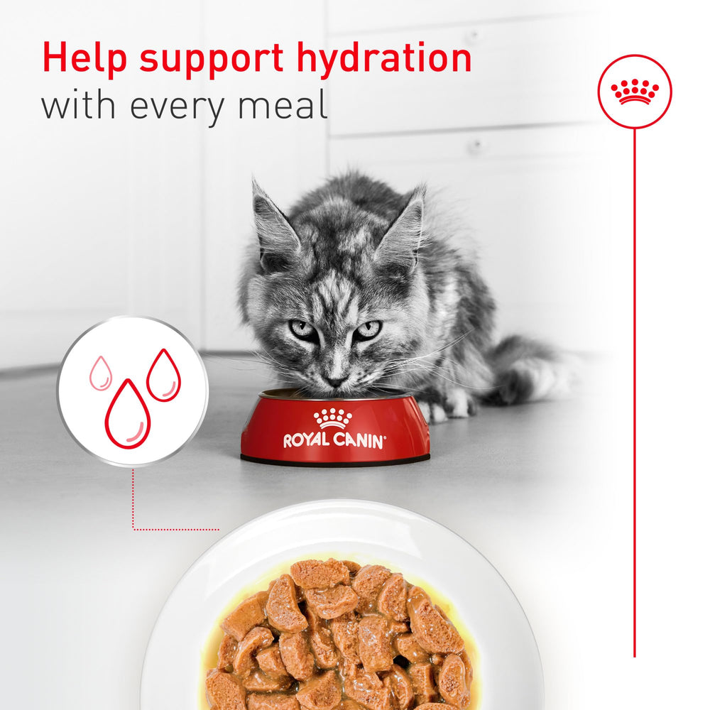 ROYAL CANIN portion size with scale showing energy-dense serving for weight management
