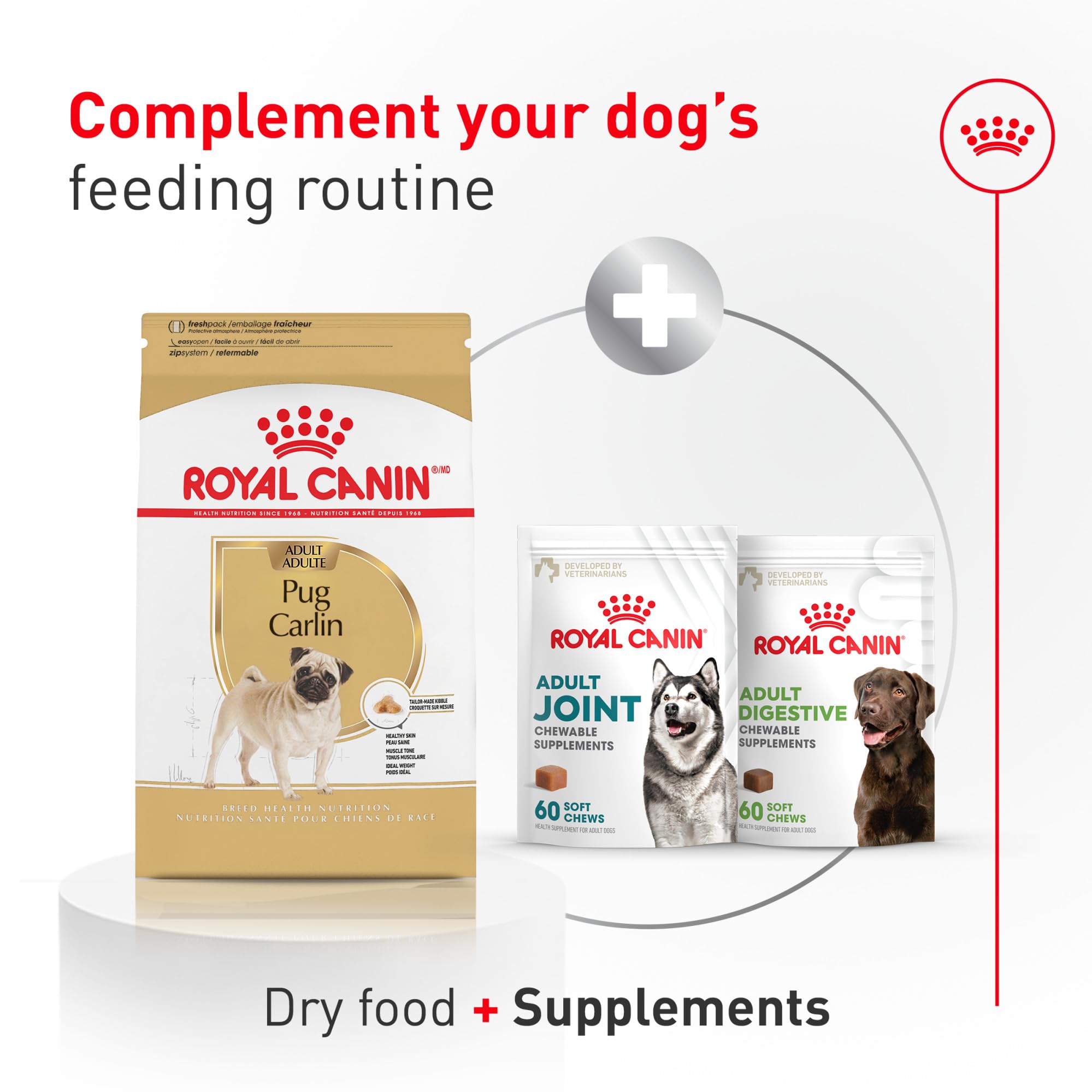 ROYAL CANIN Pug with glossy coat illustrating skin support