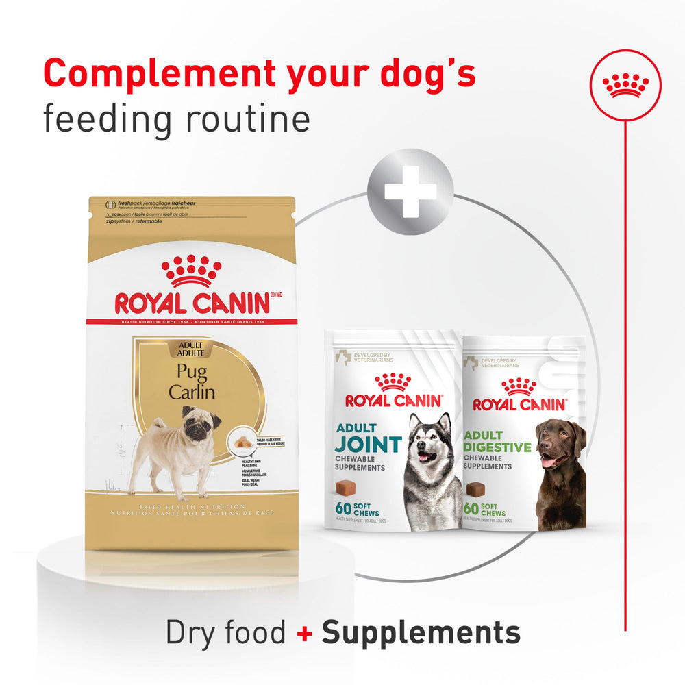ROYAL CANIN Pug with glossy coat illustrating skin support