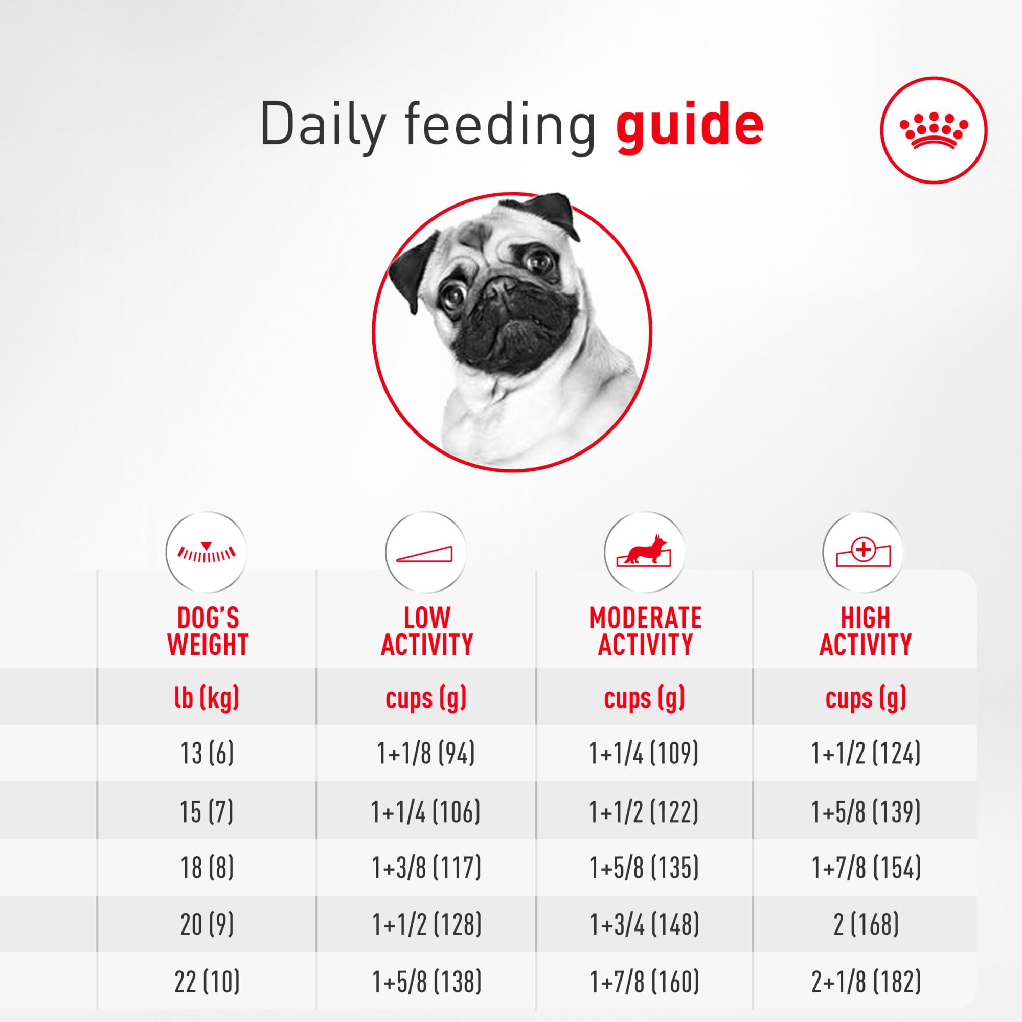 ROYAL CANIN adult Pug eating to show easy pickup benefit