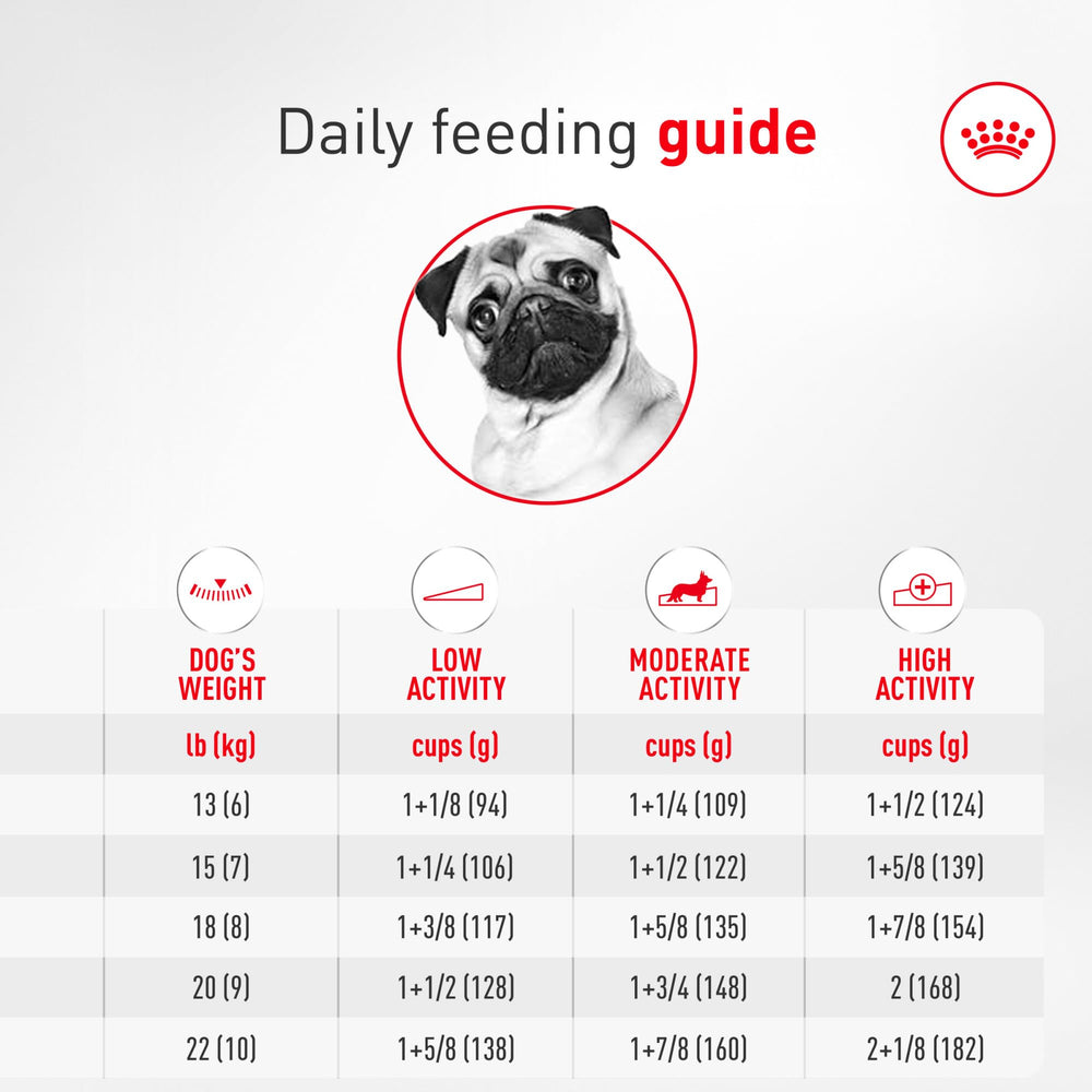 ROYAL CANIN adult Pug eating to show easy pickup benefit